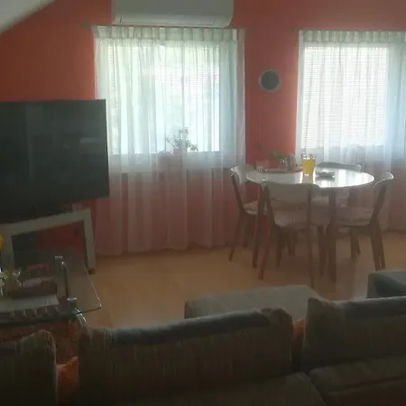 Danka Apartment *