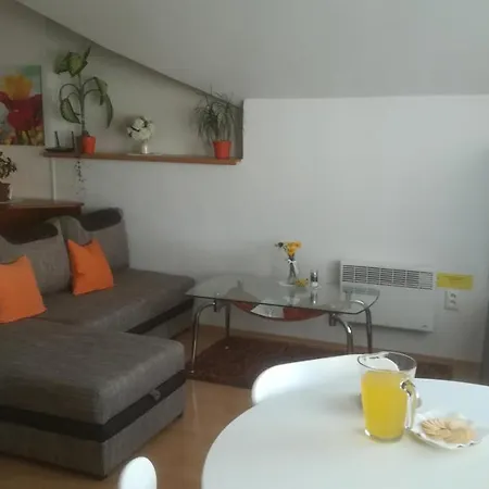 Danka Apartment